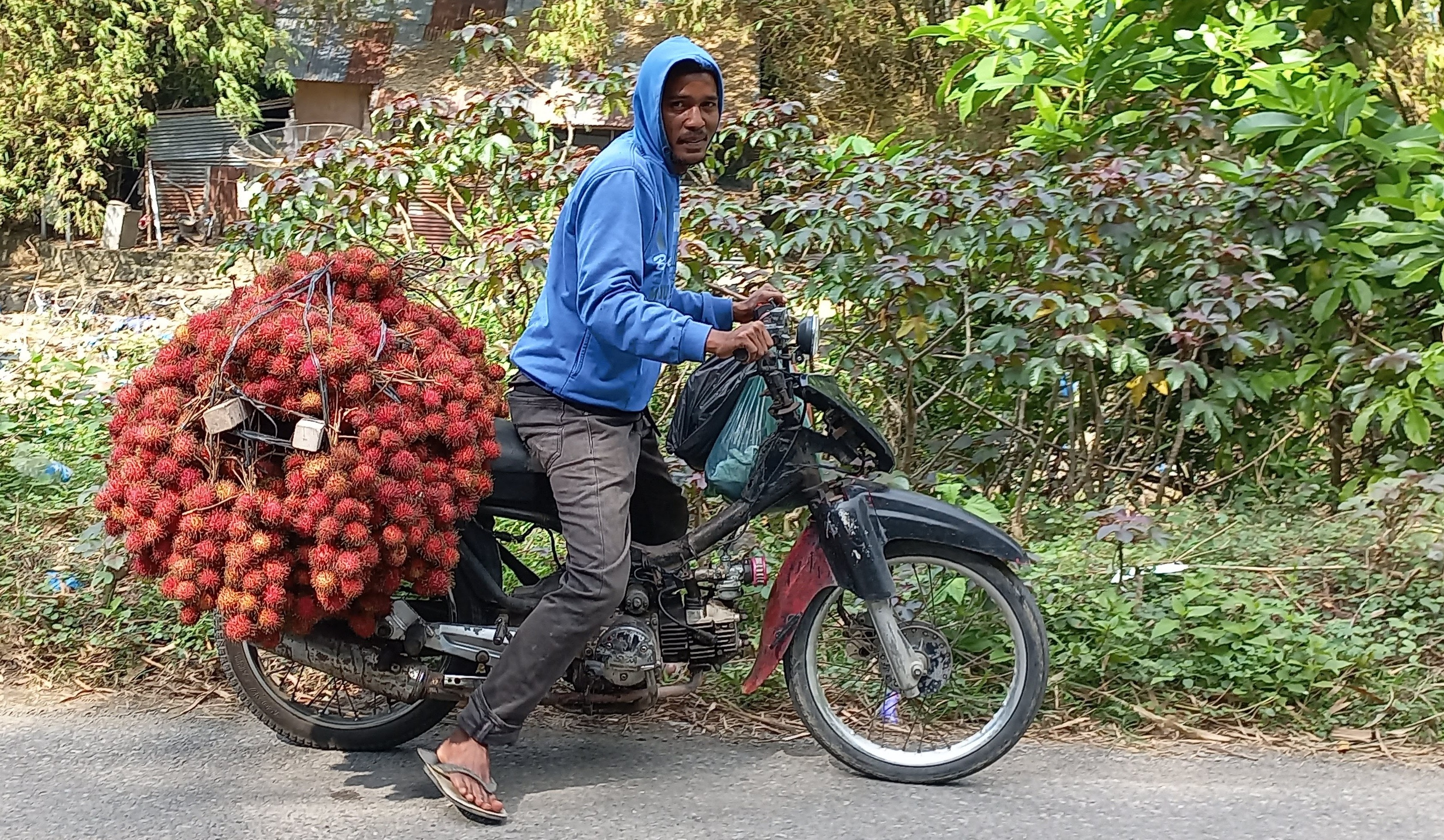 Seorang penjual rambutan sedang mengangkut barang dagangannya di kawasan Kecamatan Indrajaya, beberapa waktu lalu. 