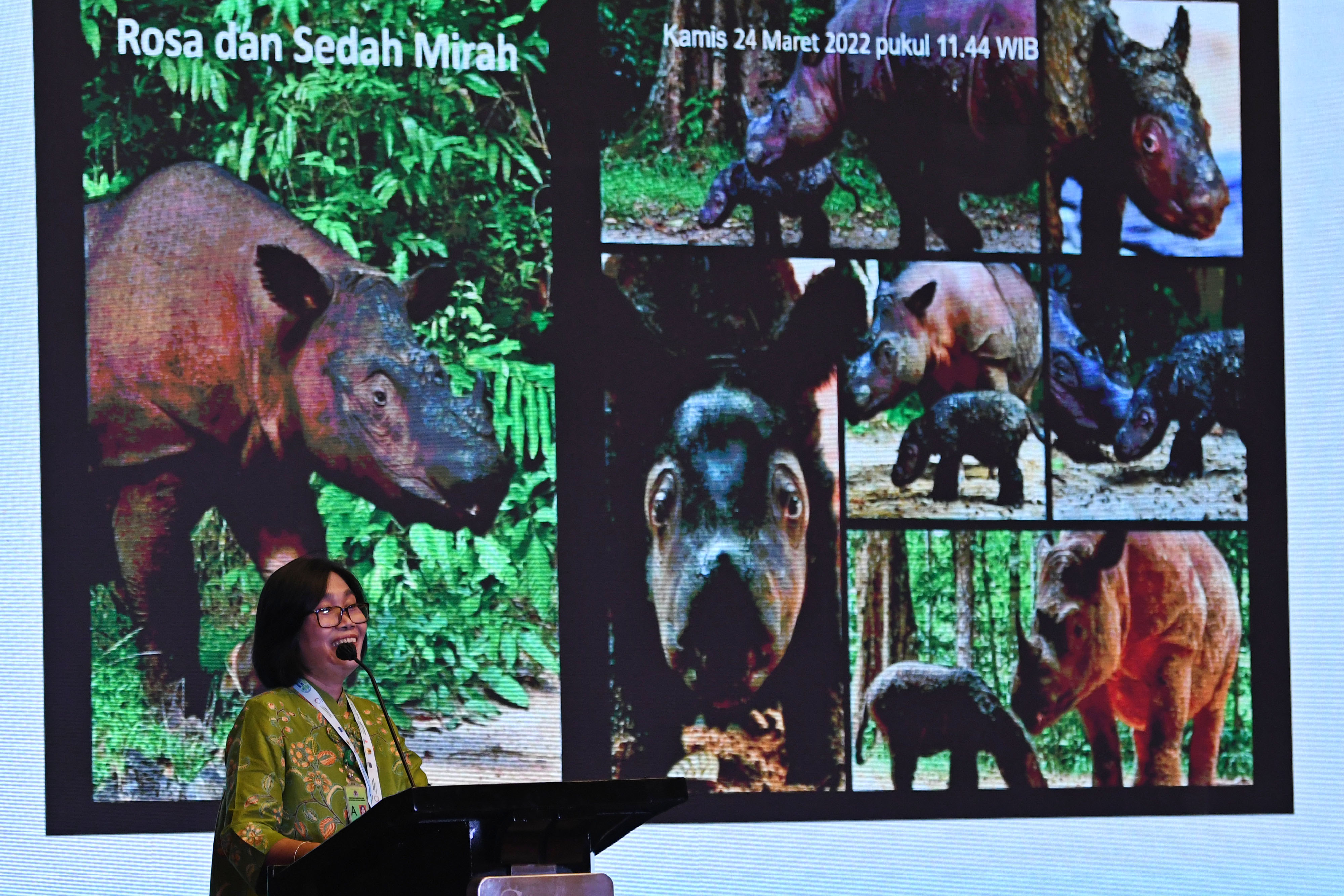 KLHK-Republik Ceko Kerja Sama Dorong Perlindungan Satwa Liar