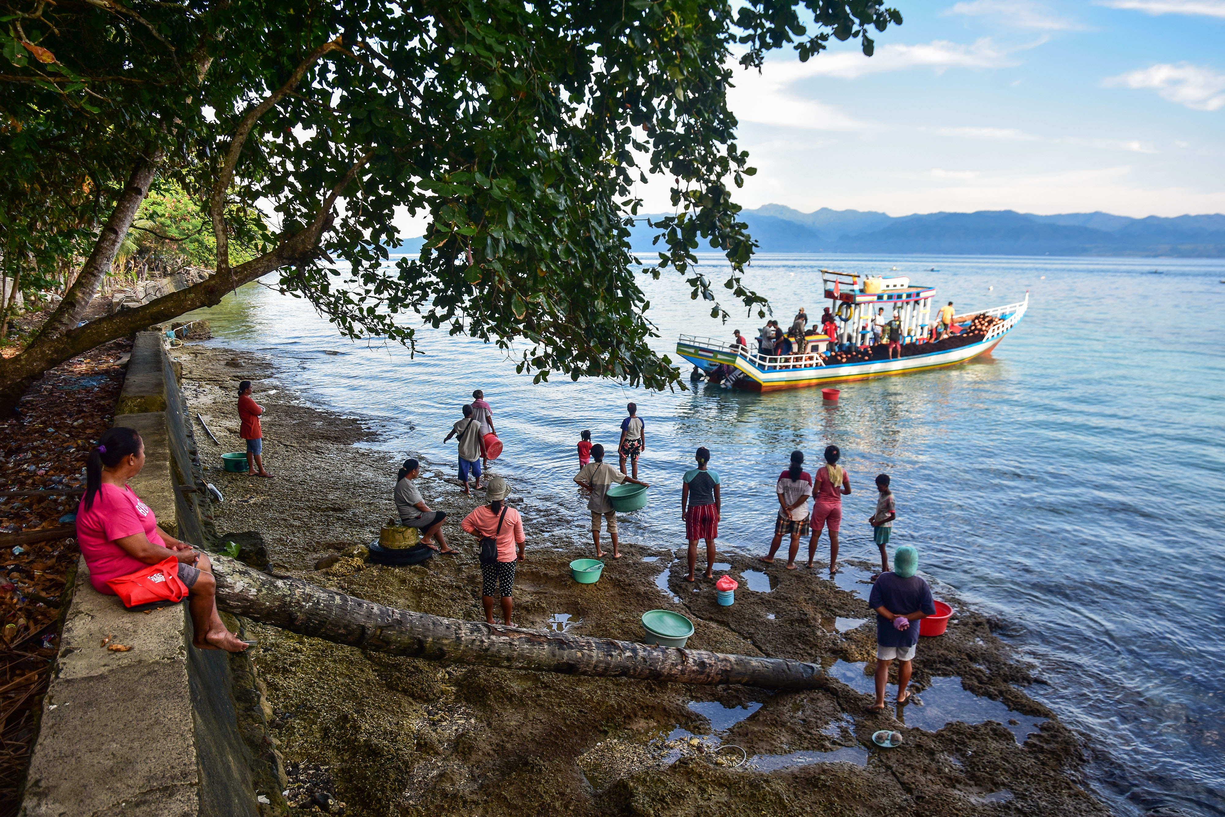Perempuan yang berprofesi sebagai Jibu-jibu menunggu kapal nelayan di pantai Desa Latuhalat, Kota Ambon, Provinsi Maluku, Selasa (5/4/2022)