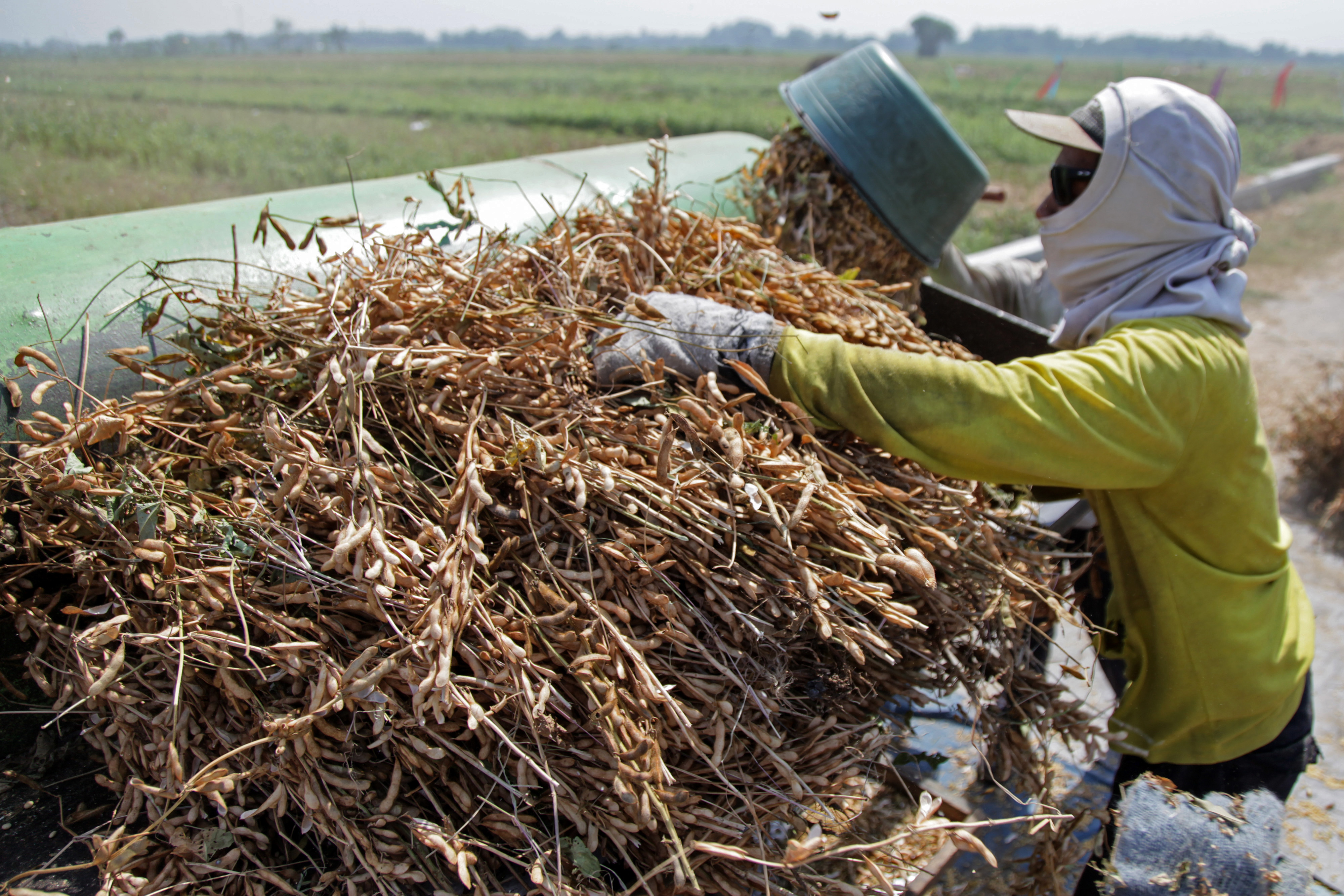 Penetapan Harga Acuan Kedelai Berpotensi Picu Masalah Baru