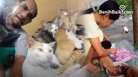 Driver Ojol yang Jadi Pahlawan Penyelamat bagi Kucing Terlantar