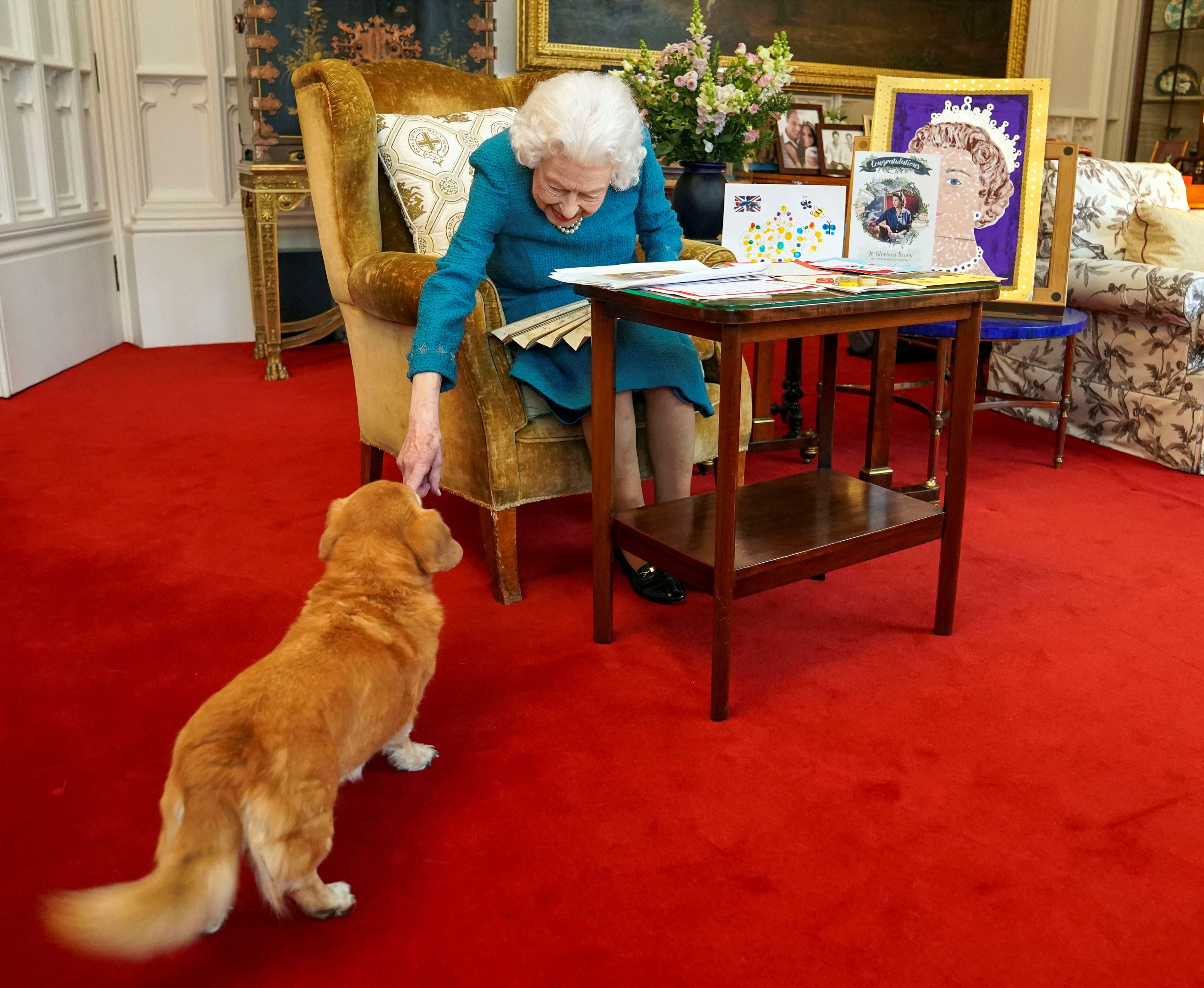 Ratu Elizabeth II bersama salah satu anjing corgi miliknya.