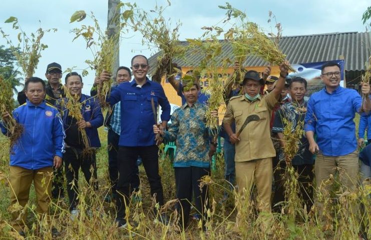 Pegiat pertanian Ayep Zaki (lima dari kiri) saat panen kedelai bersama petani NasDem.