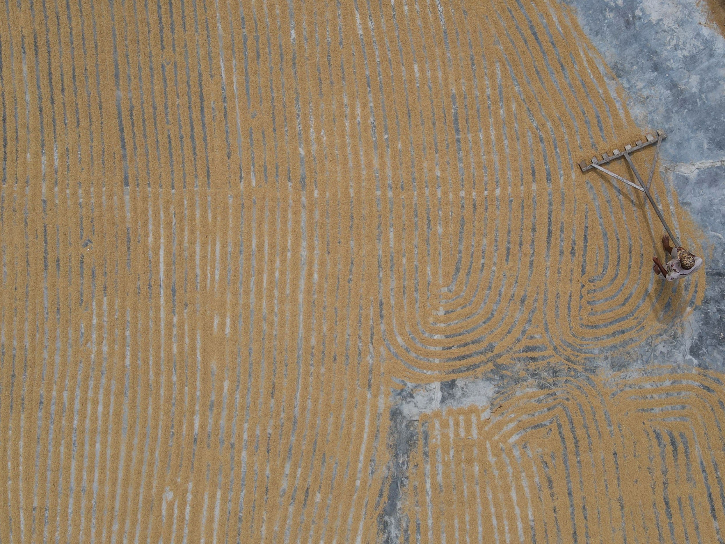 Foto udara petani menjemur padi di Desa Potoya Kabupaten Sigi, Sulawesi Tengah, Selasa (13/9/2022).