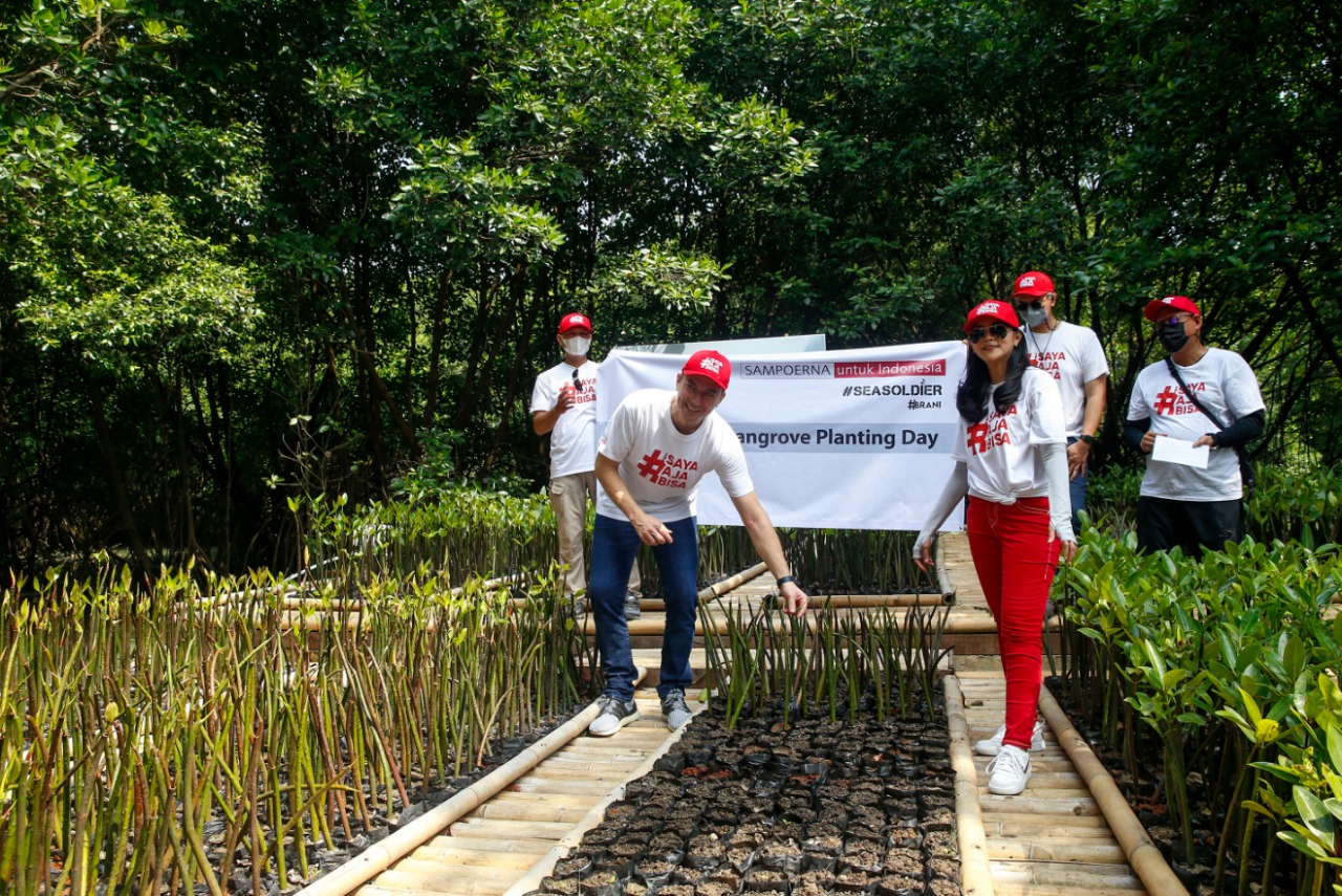 Kegiatan bersih-bersih lingkungan serta penanaman bibit mangrove.