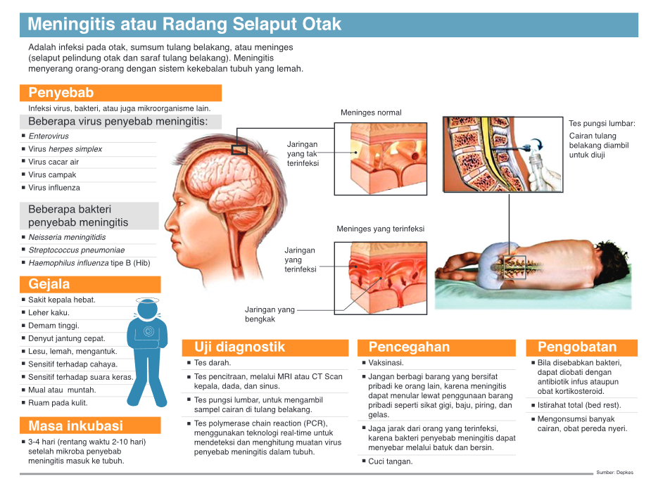 Infografis Meningitis