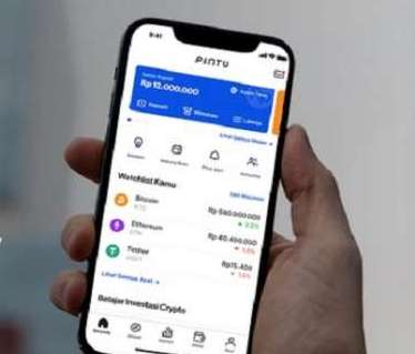 Aplikasi PINTU pada layar smartphone.