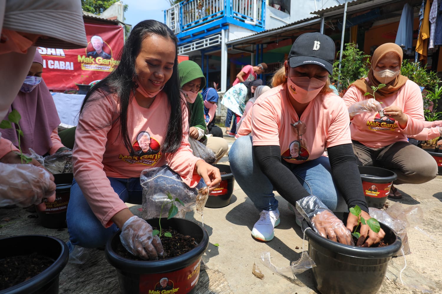 Relawan Mak Ganjar membagikan sekitar 25.000 pohon cabai beserta media tanam pot untuk emak-emak se-DKI Jakarta, Jumat (23/9/2022)