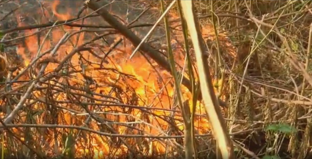 Kebakaran di Taman Nasional Gunung Ceremai Semakin Meluas