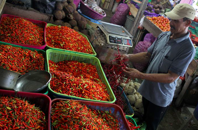 Pedagang berada dilapak jualan cabainya di Pasar Mandonga, Kendari, Sulawesi Tenggara, Senin (28/2).