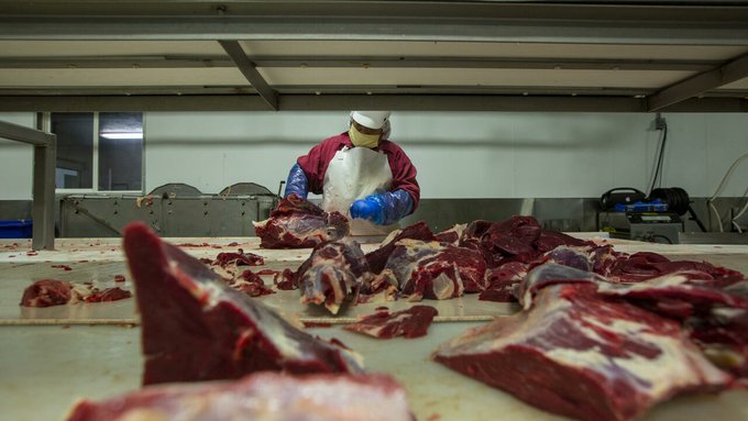 Demi Lingkungan, Pemerintah Kota ini Akan Larang Iklan Produk Daging 