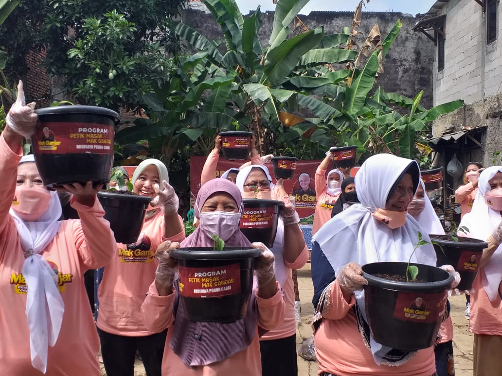 Relawan Mak Ganjar membagikann 300  bibit cabai dengan pot dan media tanam untuk warga di Cilandak, Jakarta Selatan, Senin (12/9/2022)