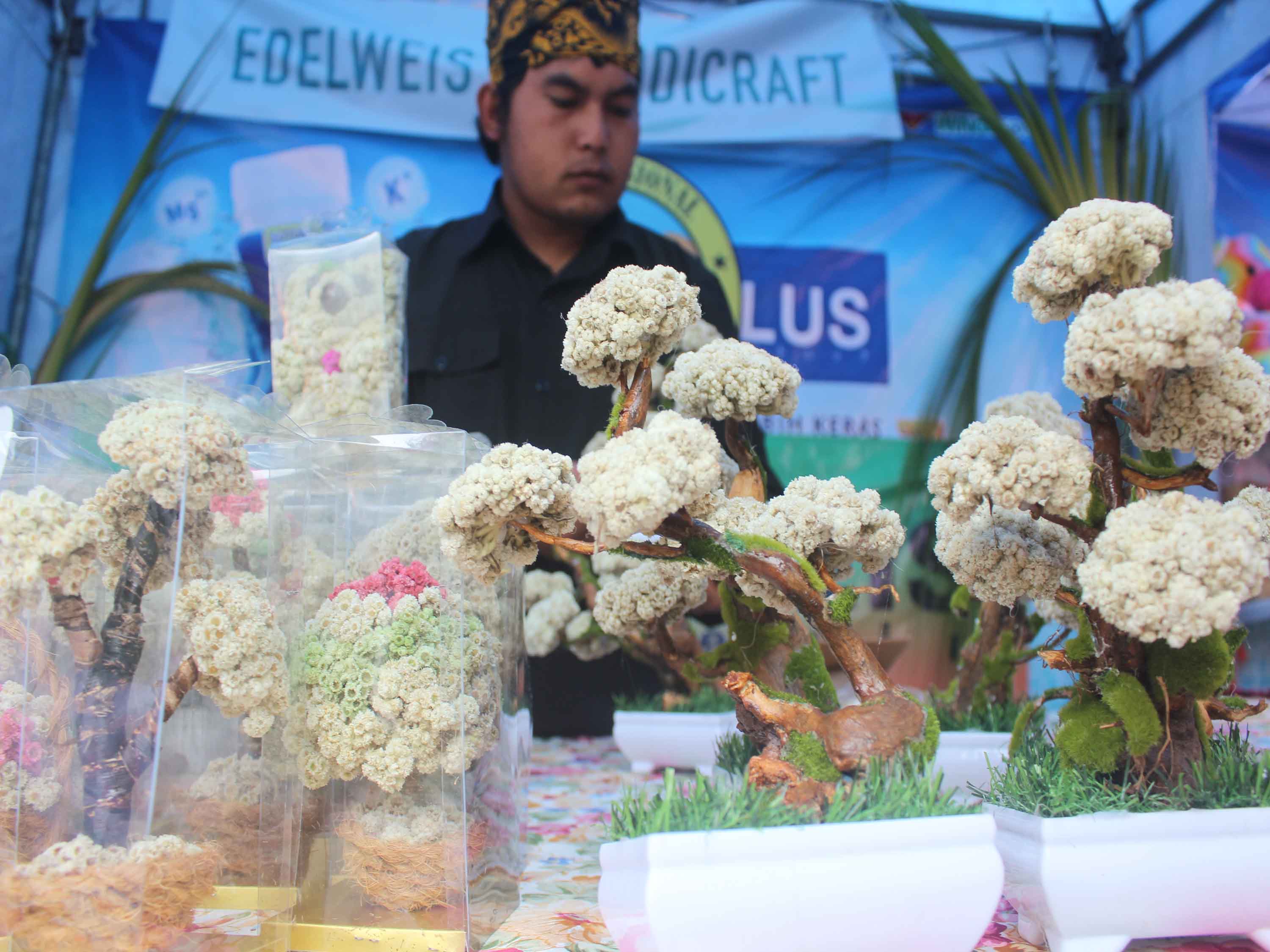 Warga menjual suvenir edelweis di acara  Plataran Bromo Xtravaganza.