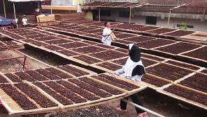 Aktivitas warga Temanggung.