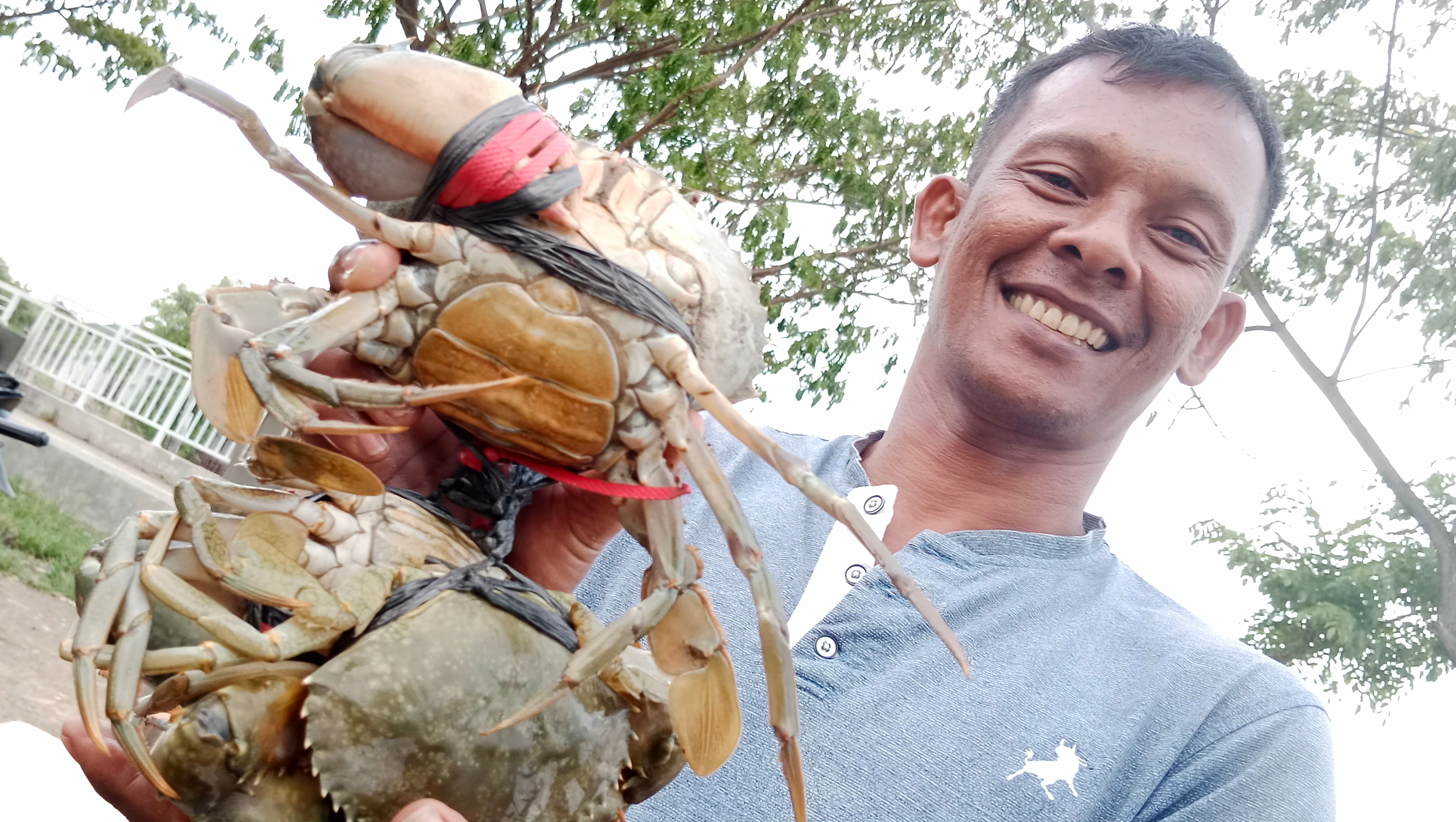 Nelayan di pesisir Selatan Malaka, kawasan Kota Sigli, Kabupaten Pidie memperlihatkan kepiting hasil tangkapannya.
