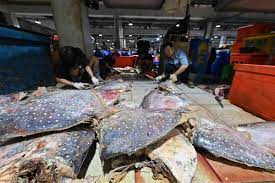 Pedagang memotong ikan di Pasar Ikan Muara Baru, Jakarta.