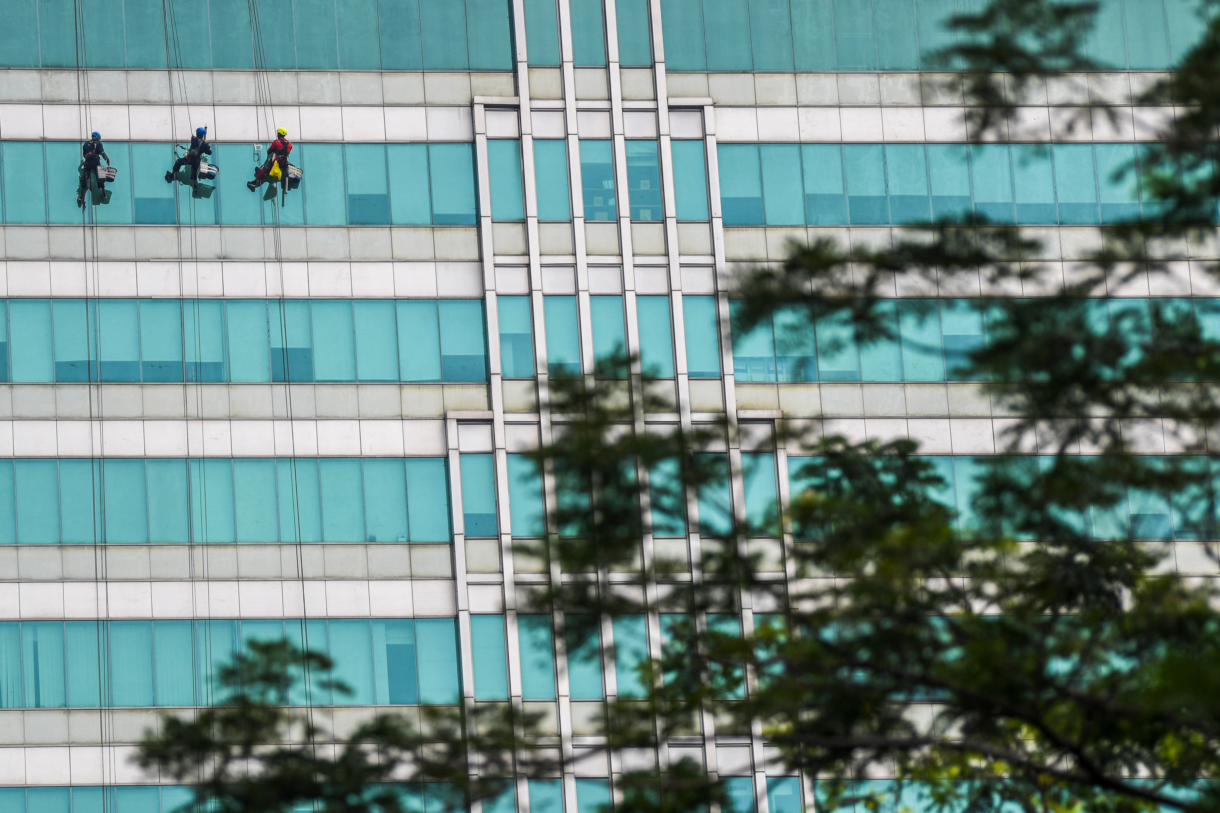 Sejumlah pekerja membersihkan dinding salah satu gedung bertingkat.
