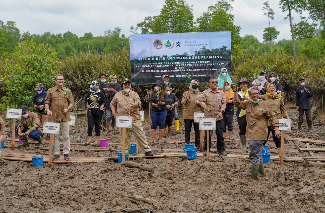 Menteri LHK Indonesia dan Norwegia Tanam Mangrove di Penajam Paser, Kaltim