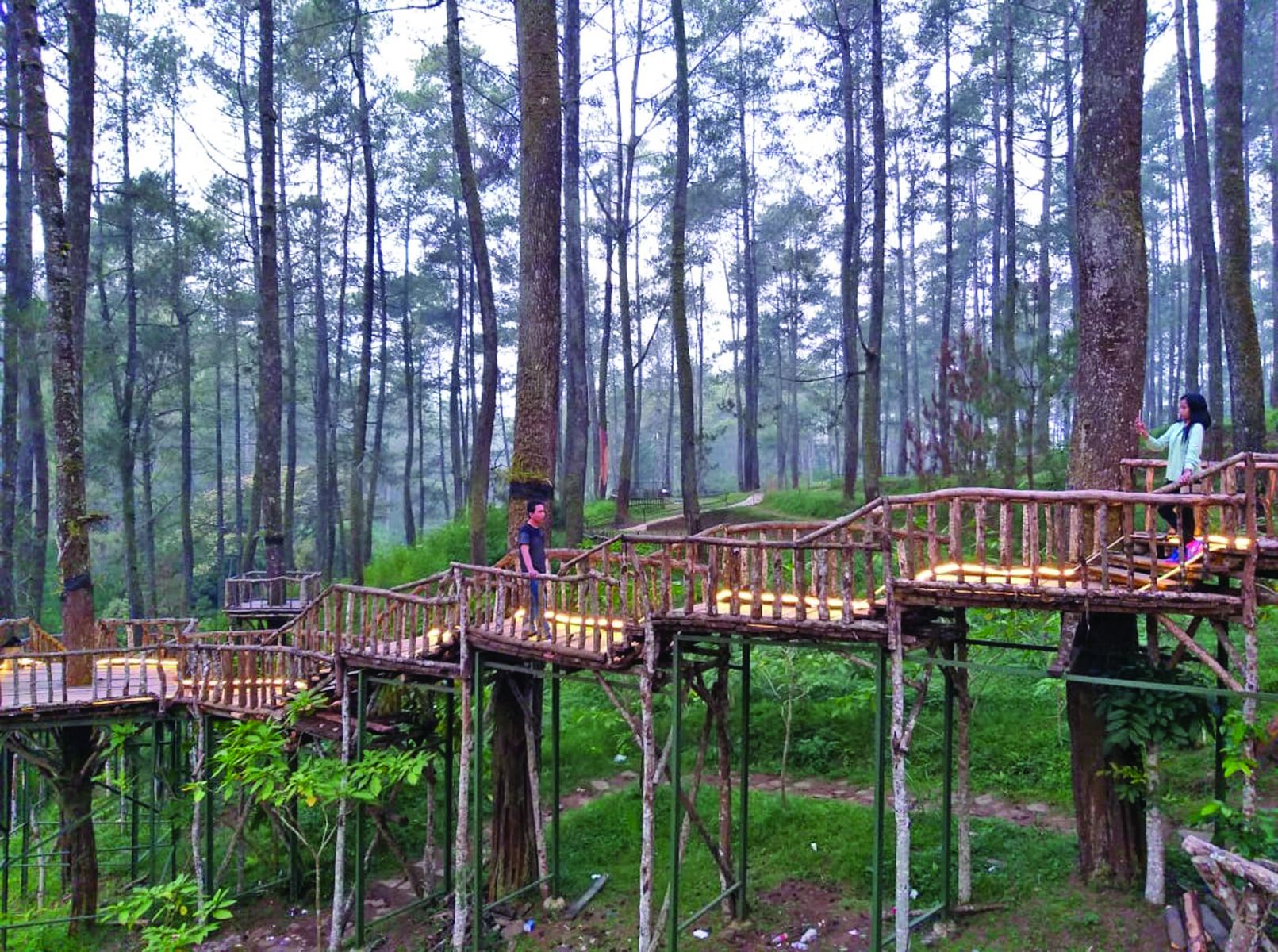 Dusun bambu.
