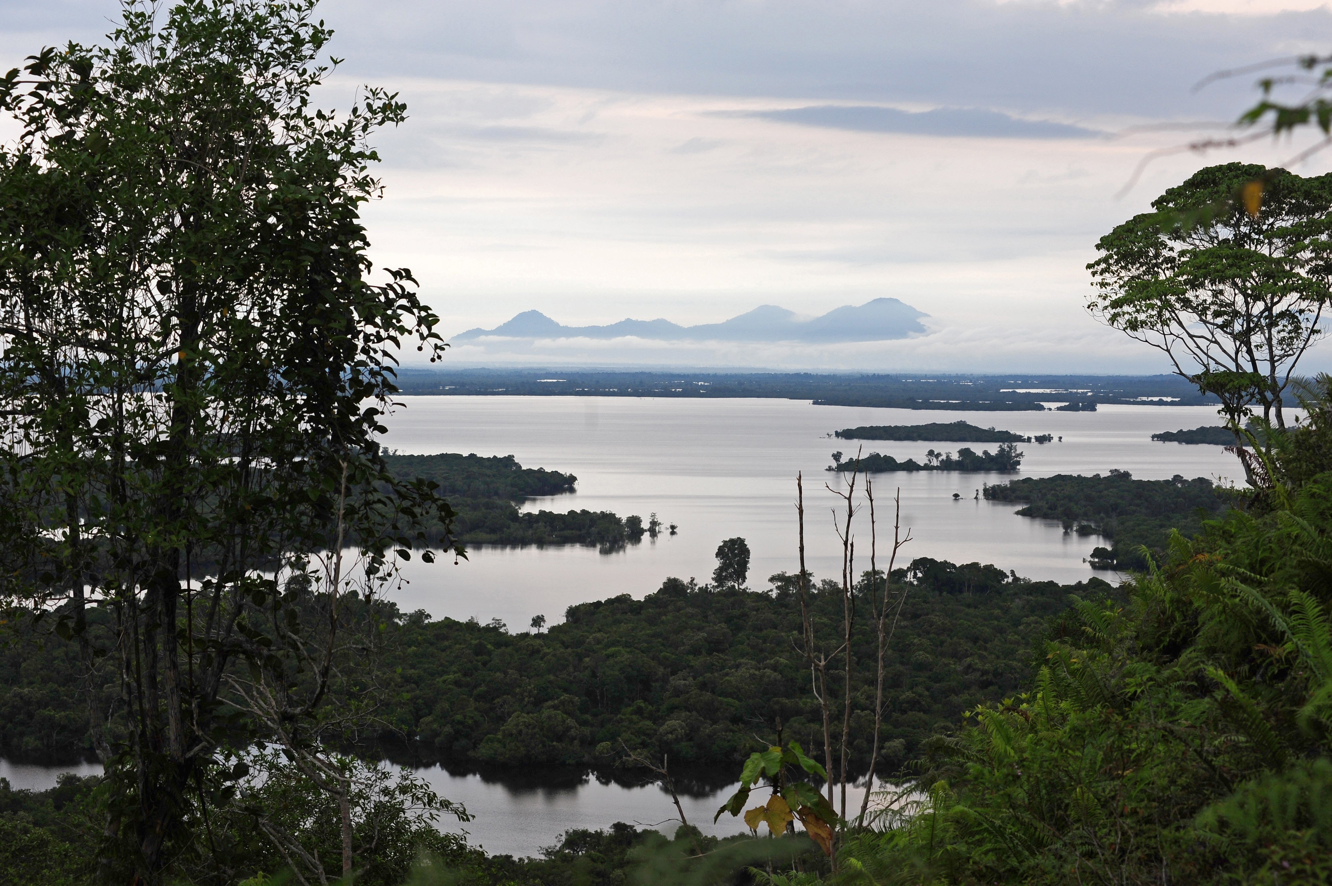 Pemandangan kawasan Taman Nasional Danau Sentarum (TNDS) di Kapuas Hulu, Kalimantan Barat.