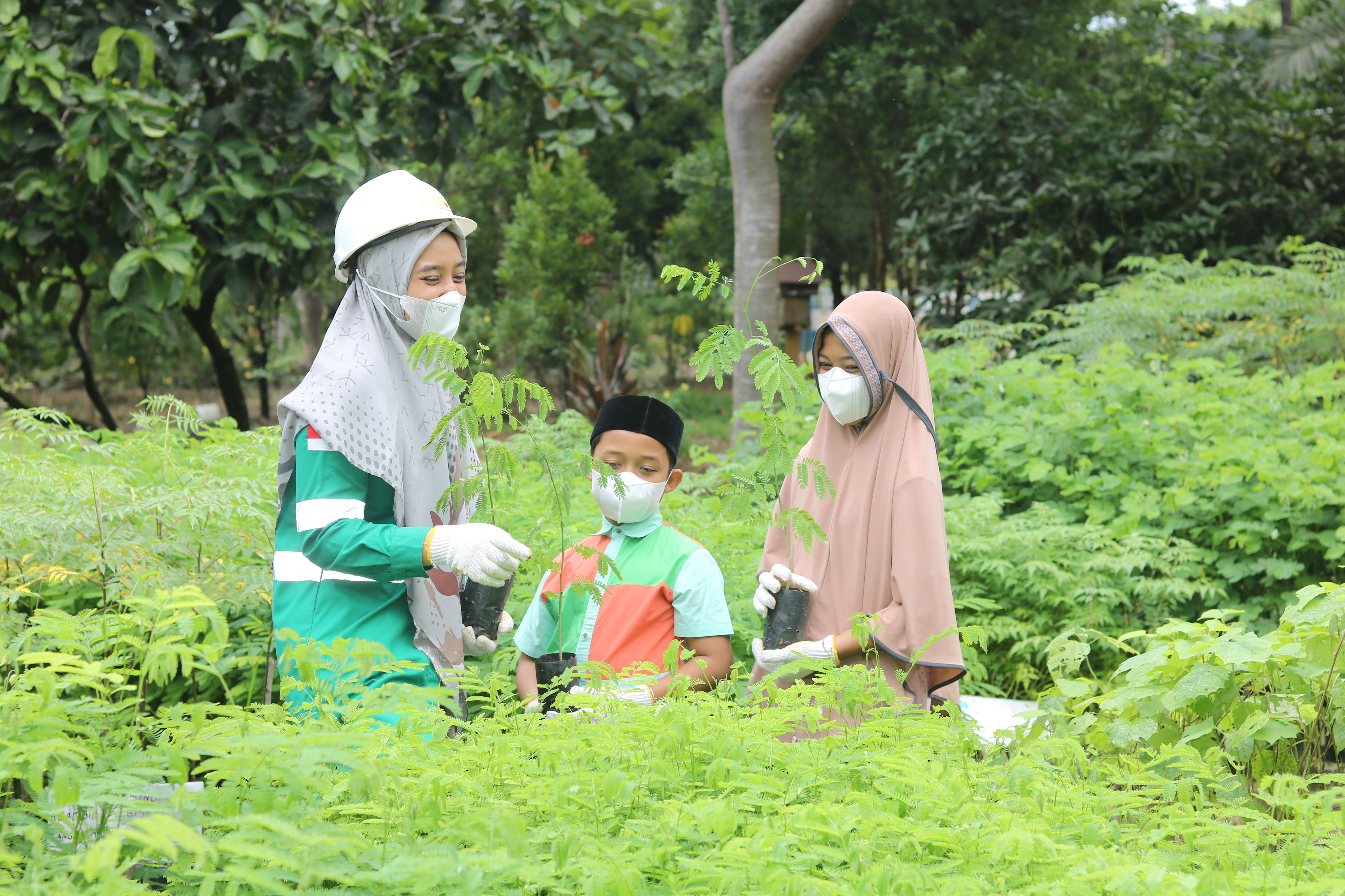  Aktivitas penghijauan bekas tambang Media Djaya Bersama Group melalui anak perusahaannya PT Mifa Bersaudara dan PT Bara Energi Lestari.