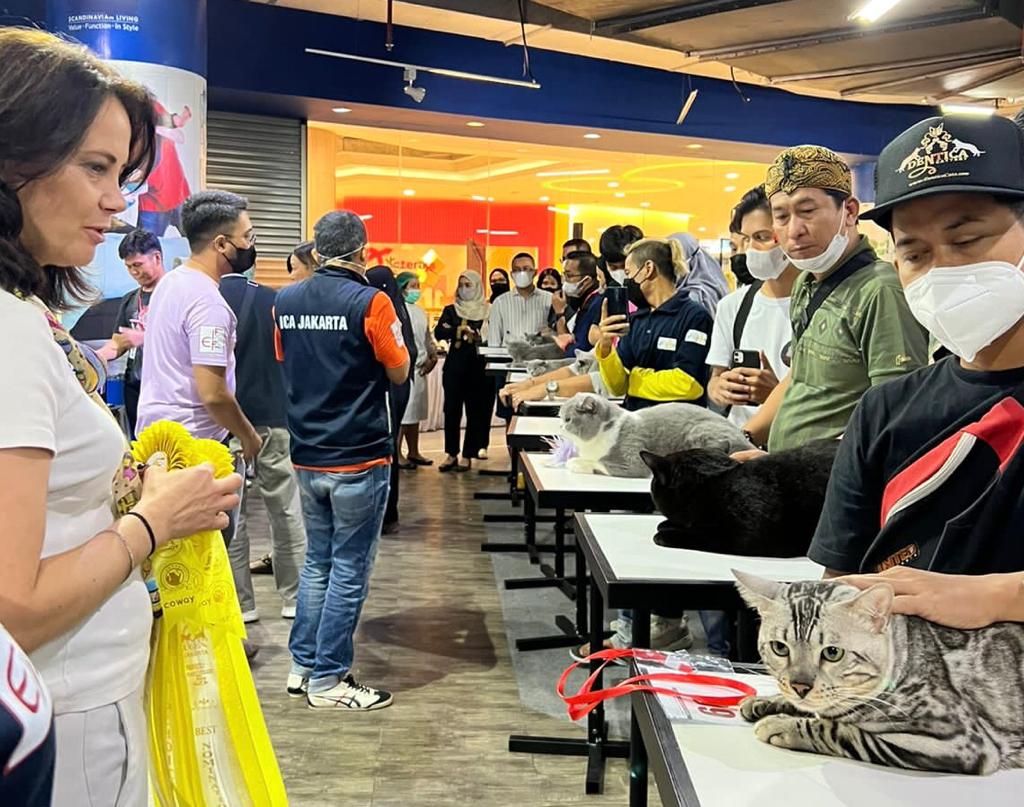 Suasana ICA-FIFe International Cat Show ke-206 dan ke-207 pada 17 dan 18 September 2022 di Mal Kuningan City, Jakarta.