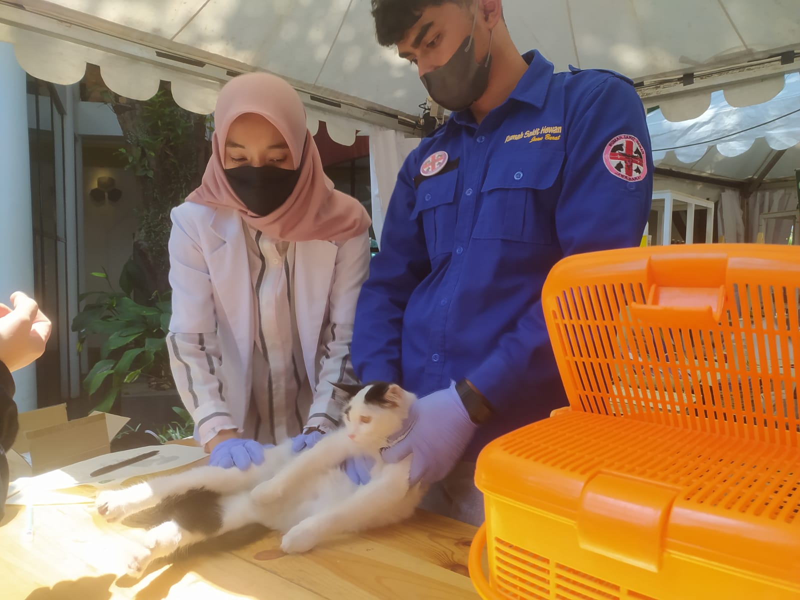 Petugas Dinas Ketahanan Pangan dan Peternakan (DKPP) Jawa Barat tengah menyuntikkan vaksin rabies 