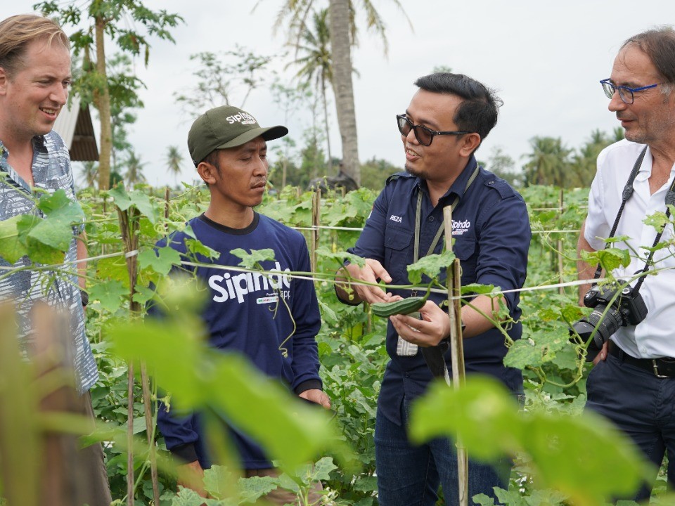 Petani pengguna aplikasi di Lampung yang mengaku produksi pertanian mereka meningkat hingga lebih dari 22% dari sebelum memakainya. 