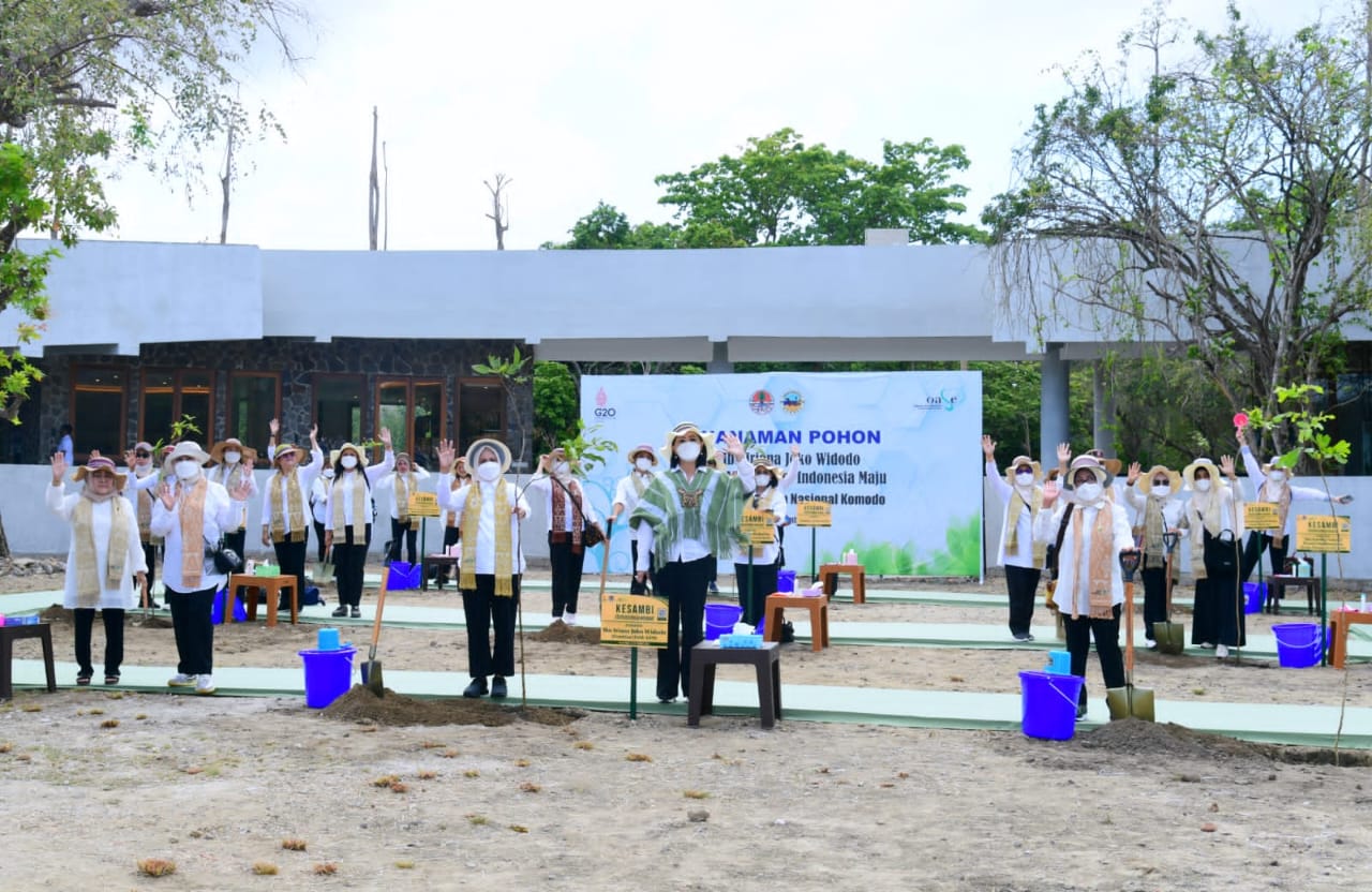 Ibu Negara Iriana Joko Widodo bersama sejumlah istri anggota kabinet melakukan penanaman pohon di Pulau Rinca, NTT
