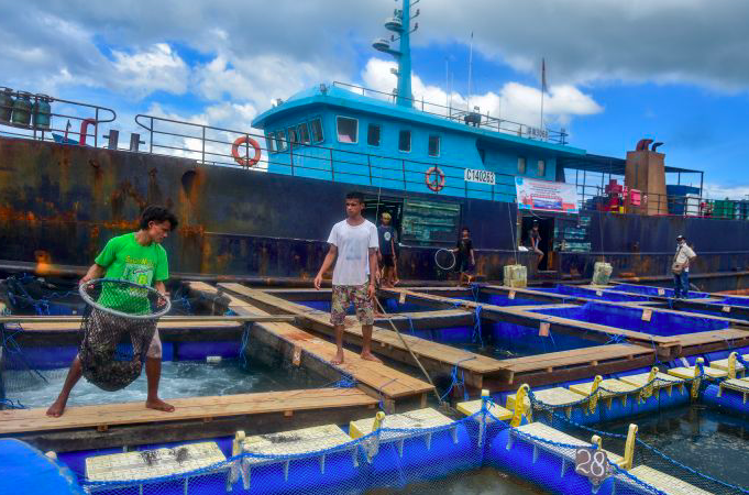 Pemerintah Berhasil Pulangkan 5 ABK LG dari Taiwan