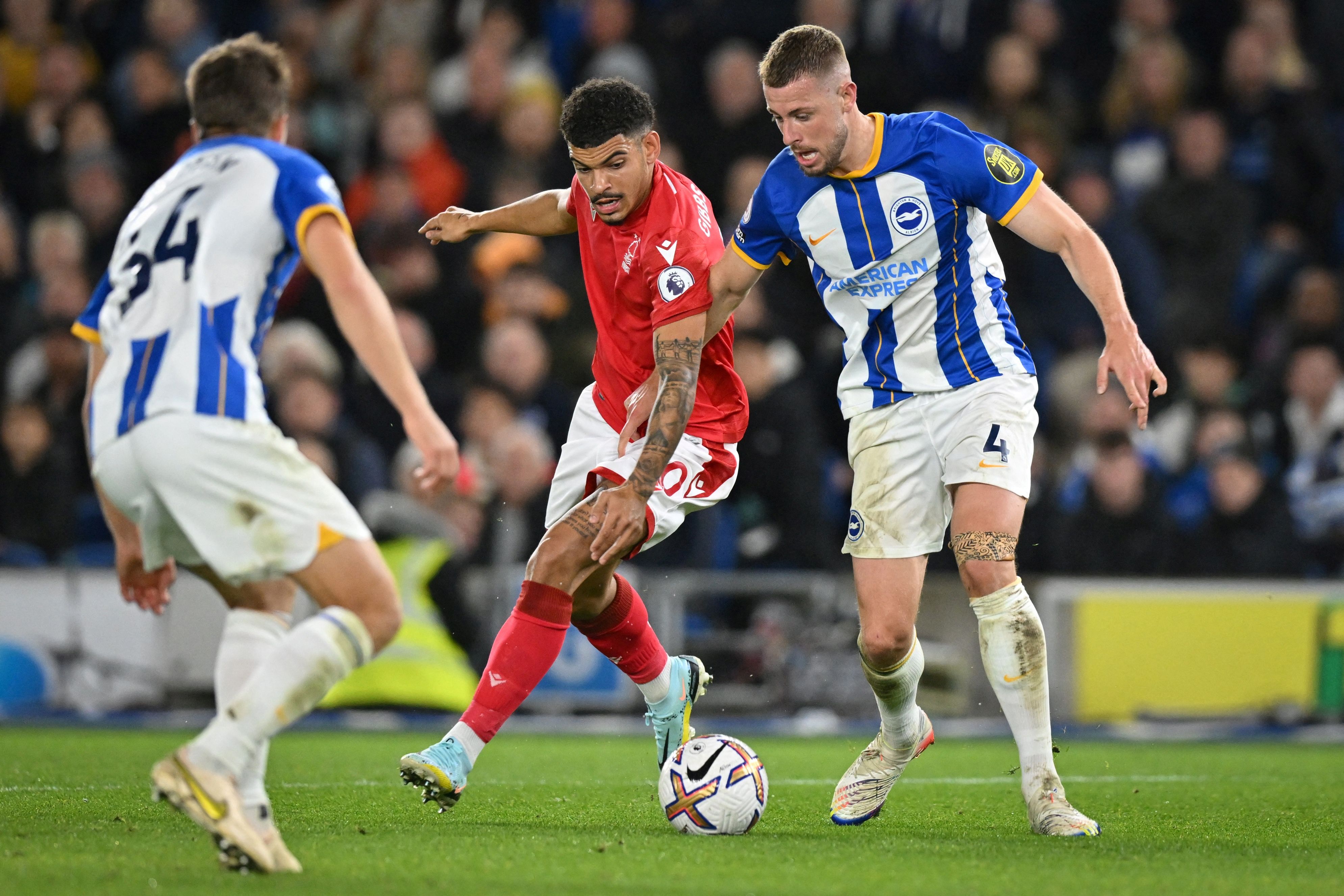 Laga Liga Primer Inggris antara Brighton and Hove Albion dan Nottingham Forest.