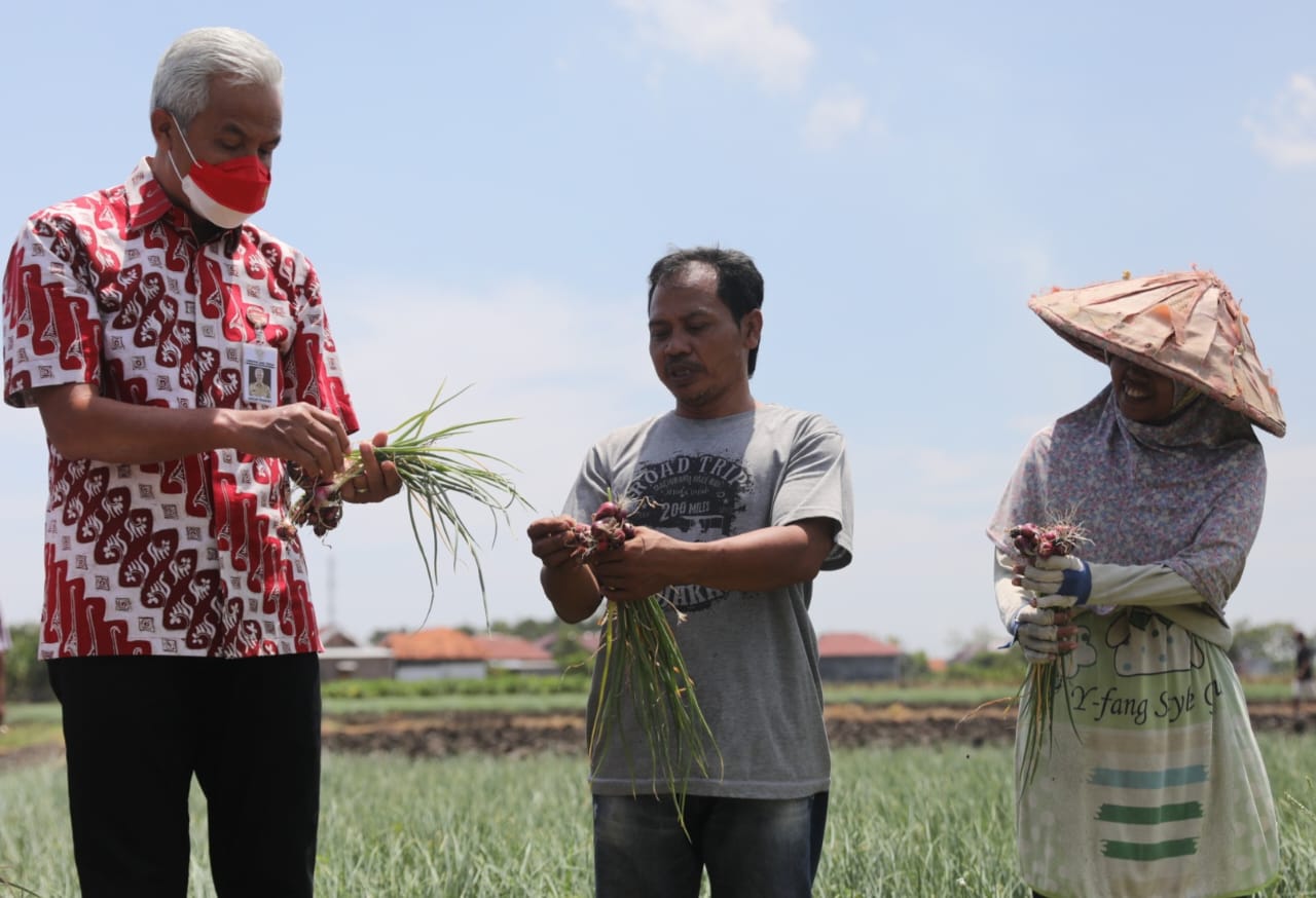 Gubernur jateng Ganjar Pranowo berbincang dengan petani
