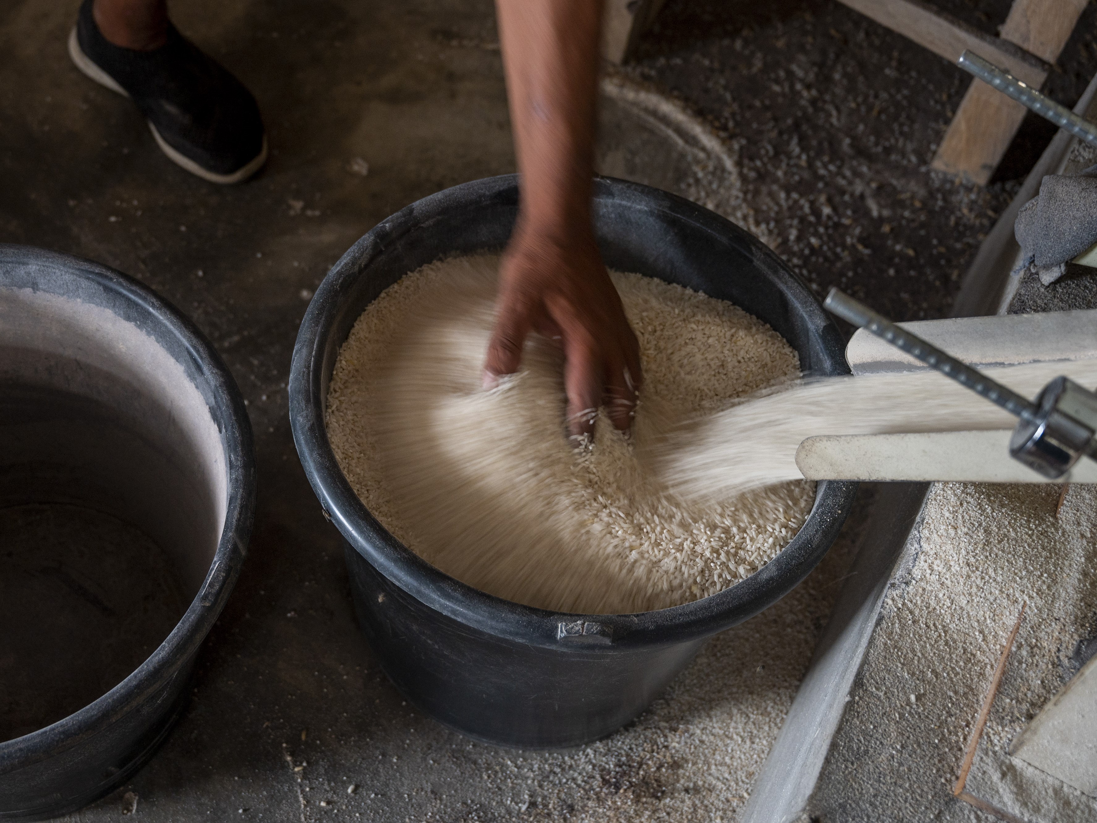 Perkiraan Produksi Beras Capai 32 Juta Ton Diyakini Tercapai