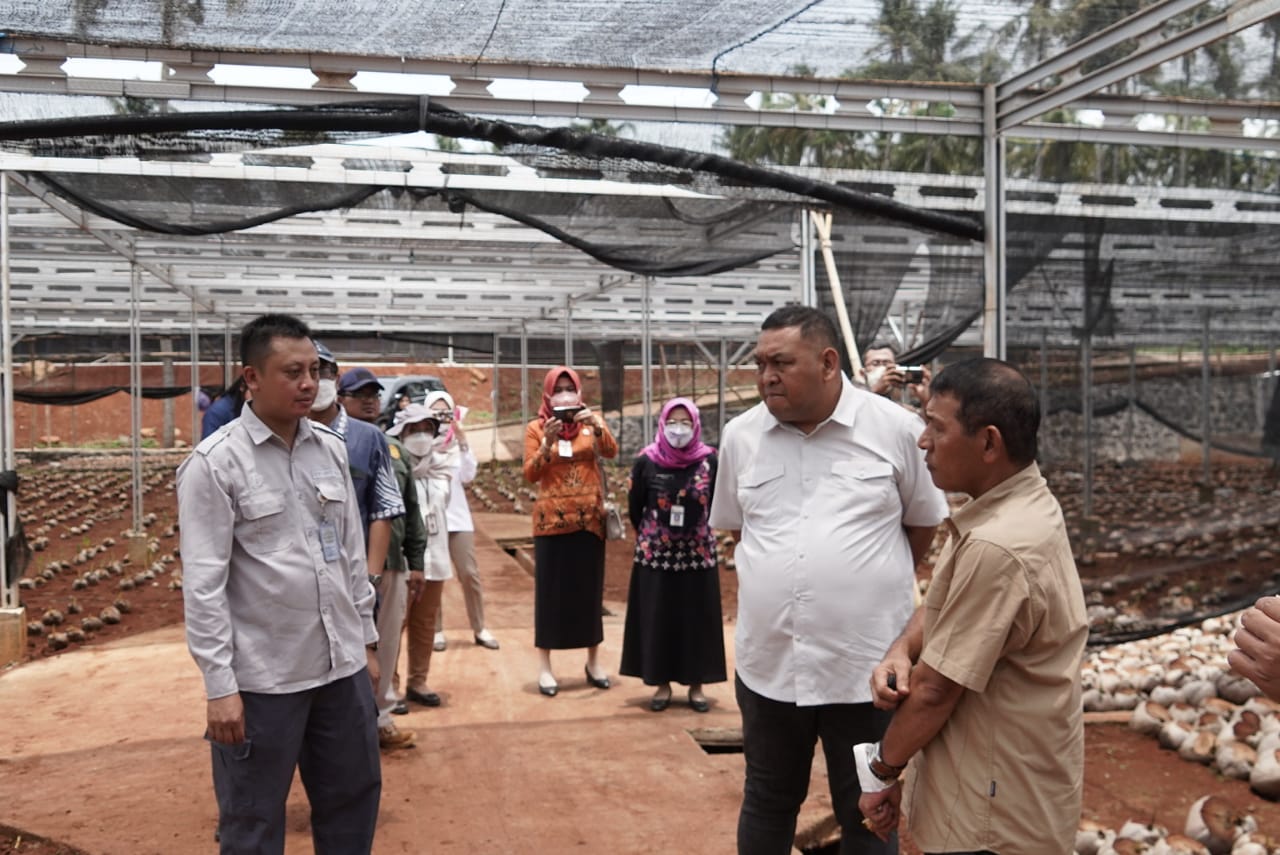 Dirjen Perkebunan Andi Nur Alam Syah saat meninjau nursery modern kelapa di Desa Beji, Kecamatan Tulis, Kabupaten Batang, Jawa Tengah. 