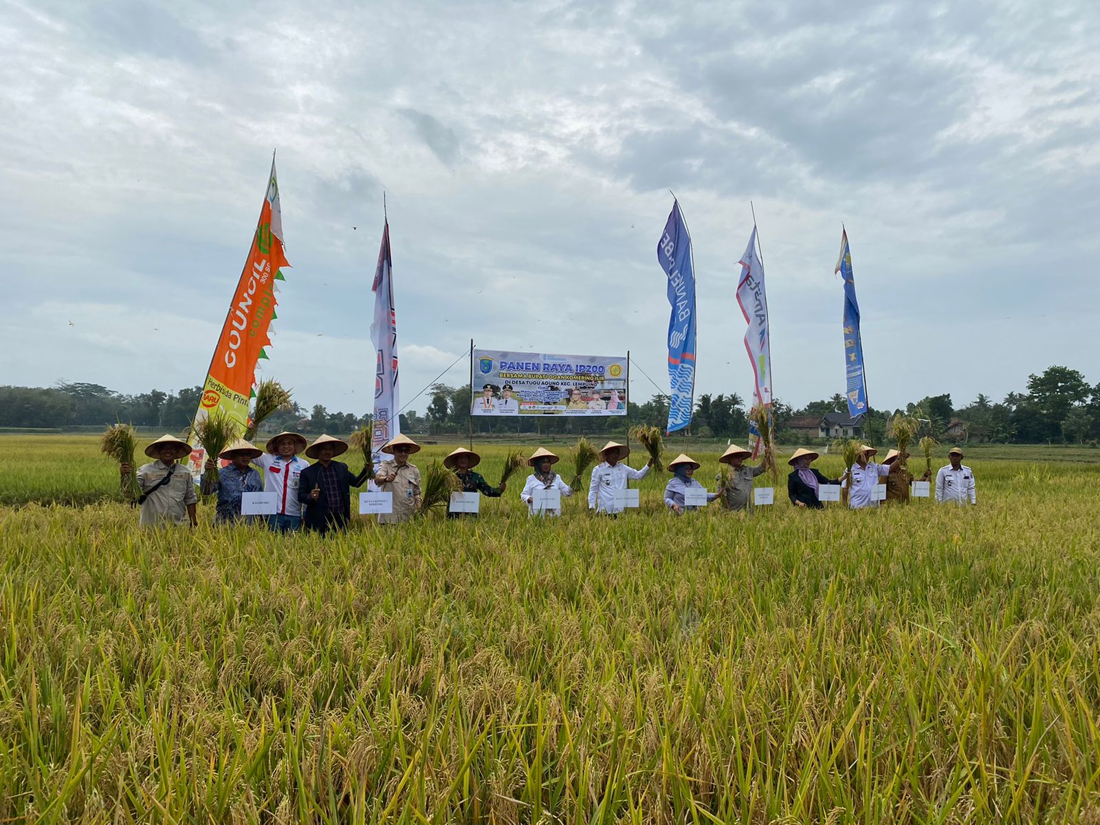 Pemkab OKI menggelar acara Panen Raya sawah IP 200 di Desa Tugu Agung, Kecamatan Lempuing, pada Agustus lalu.