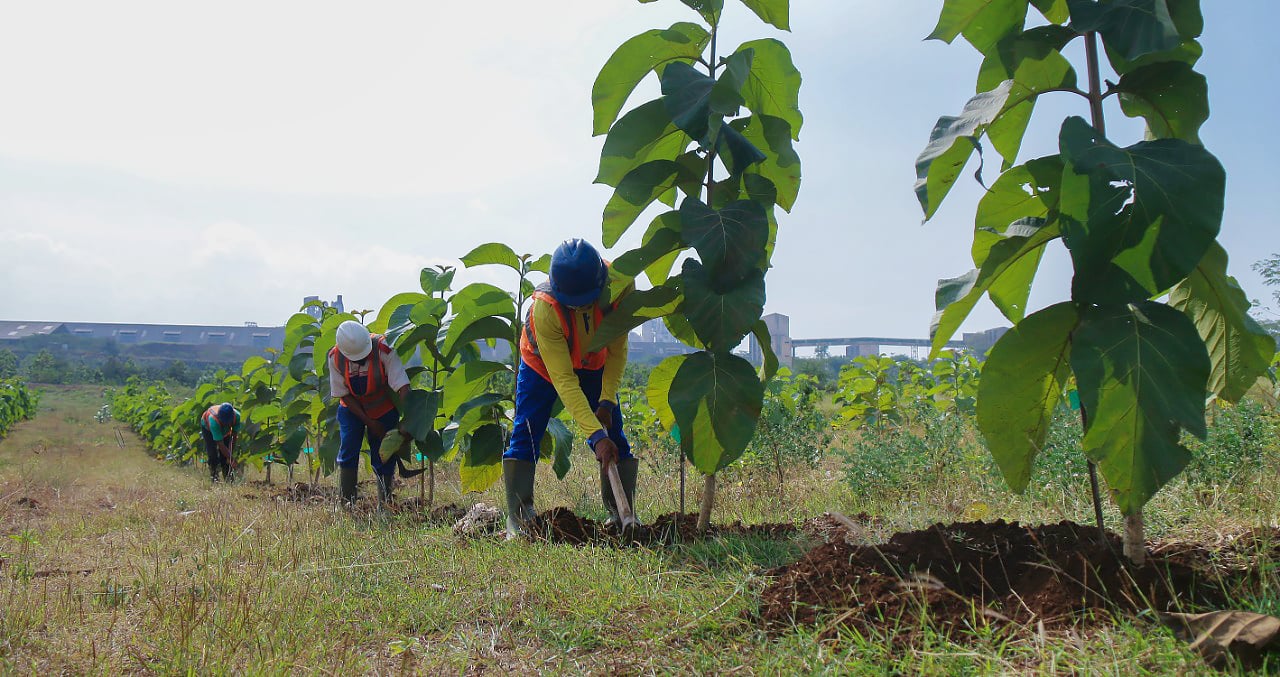 Sejumlah petugas melaksanakan reklamasi di areal tambang PT Semen Indonesia di Tuban, Jawa Timur