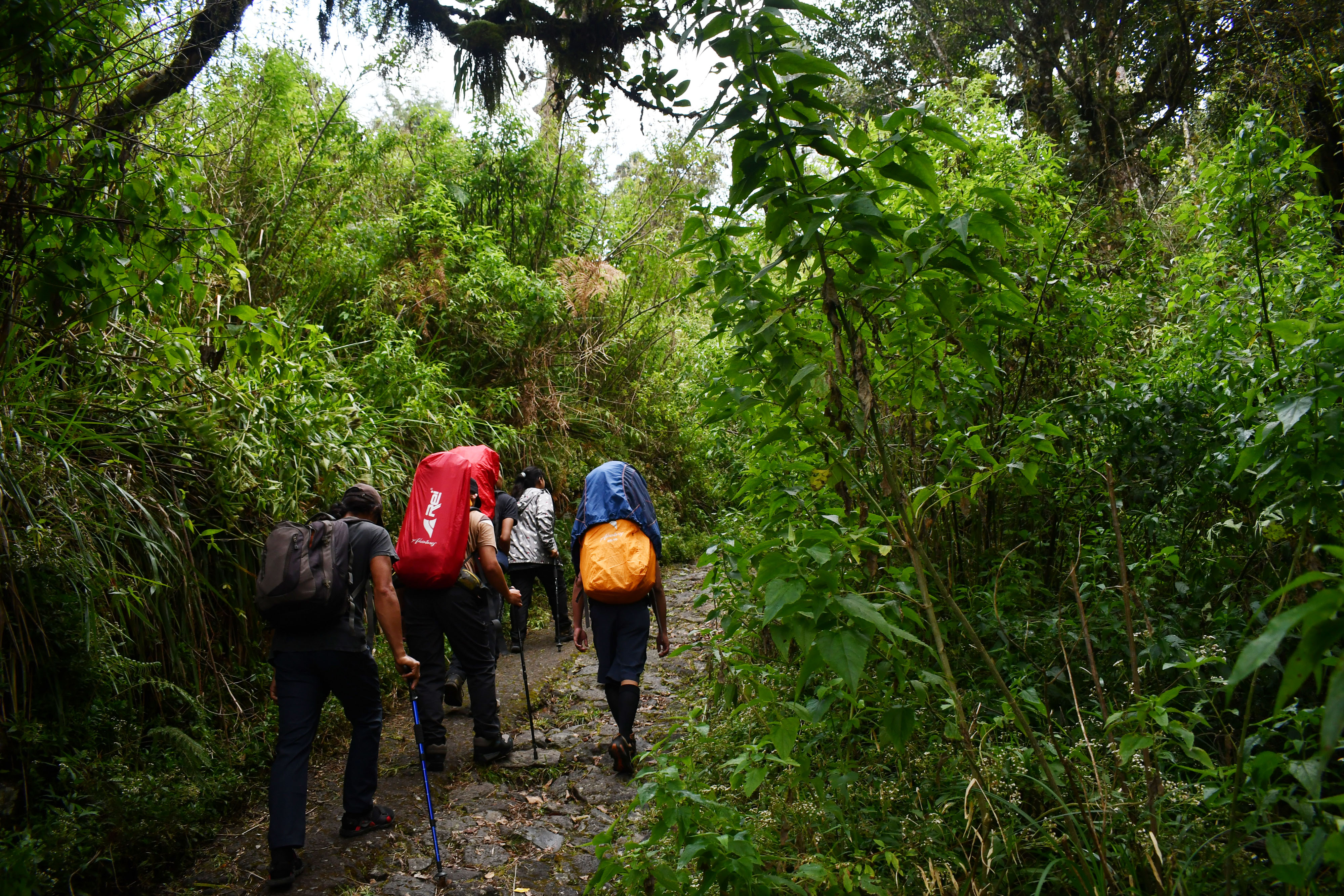 Sejumlah orang melakukan pendakian Gunung Lawu melalui jalur Cemoro Sewu Magetan, Jawa Timur, Selasa (16/8).