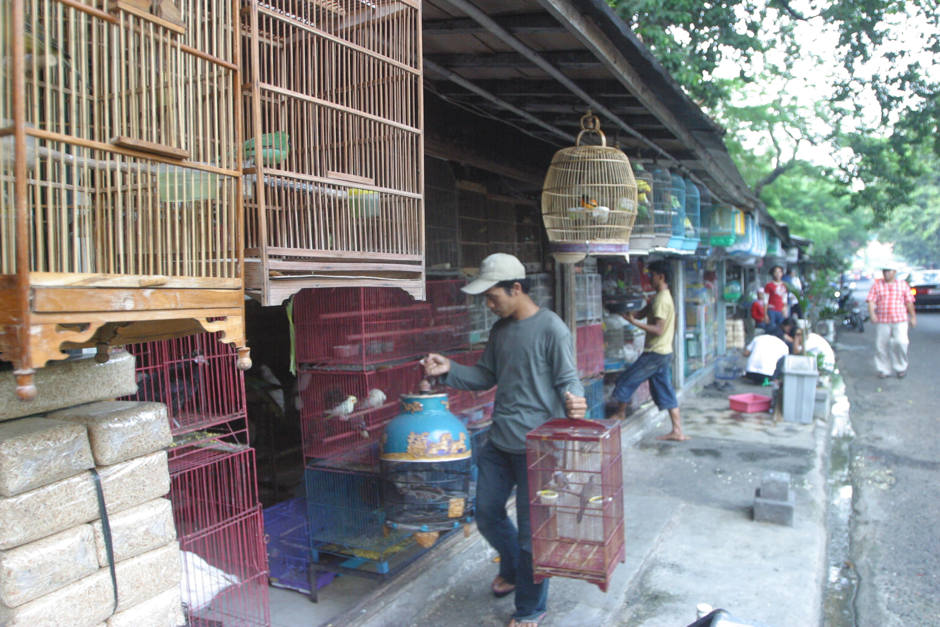 Ilustrasi pasar burung barito