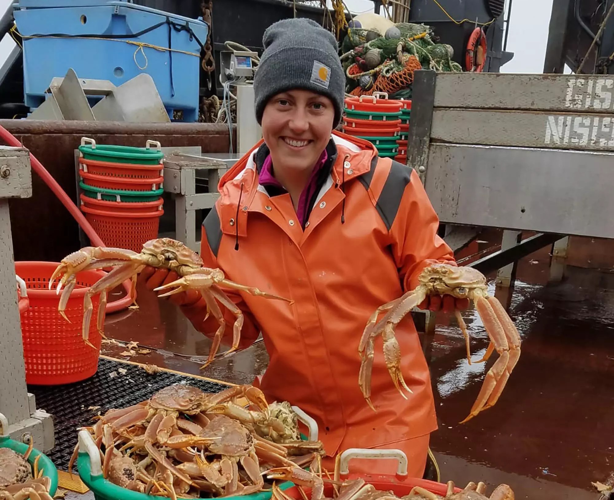 Erin Fedewa, ahli biologi kelautan dari Alaska Fisheries Science Center, memegang kepiting salju
