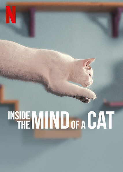 Film Inside the Mind of A Cat Netflix