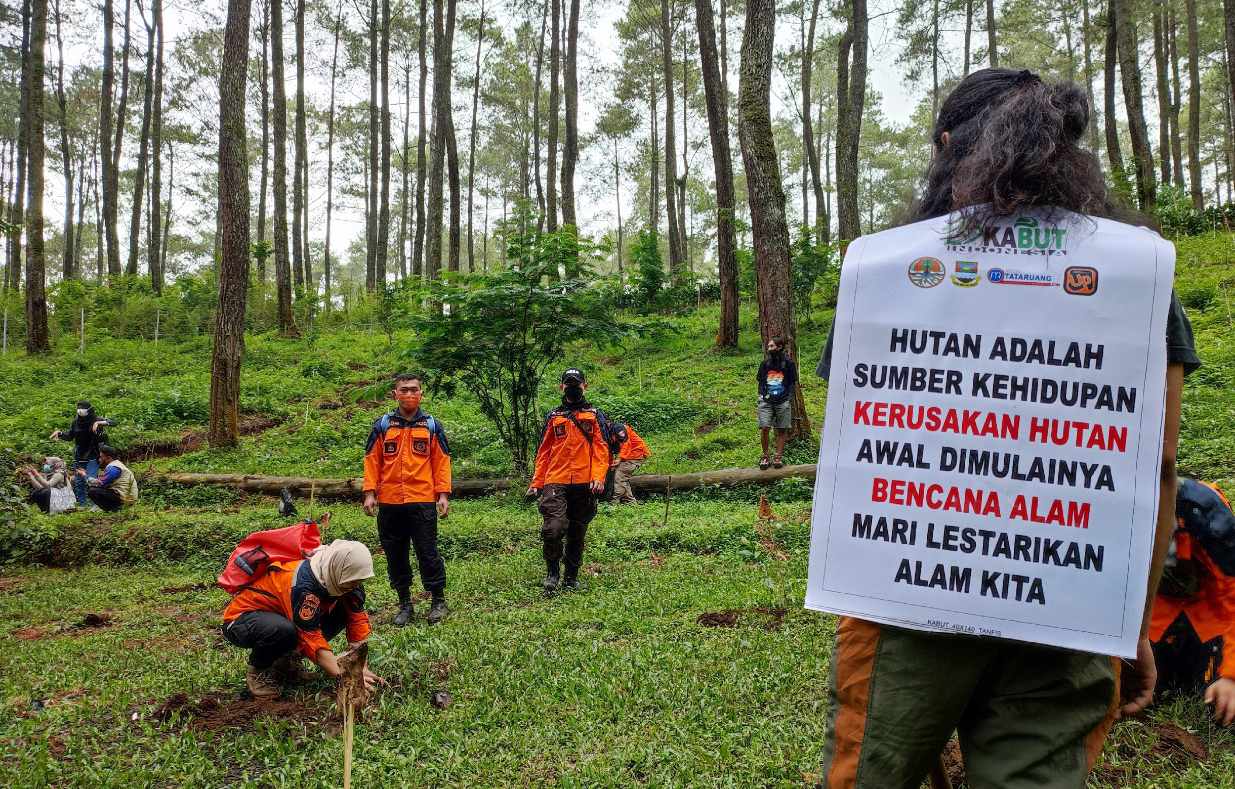 Relawan menanam bibit pohon pinus di area Hutan Cikole, Jawa Barat.
