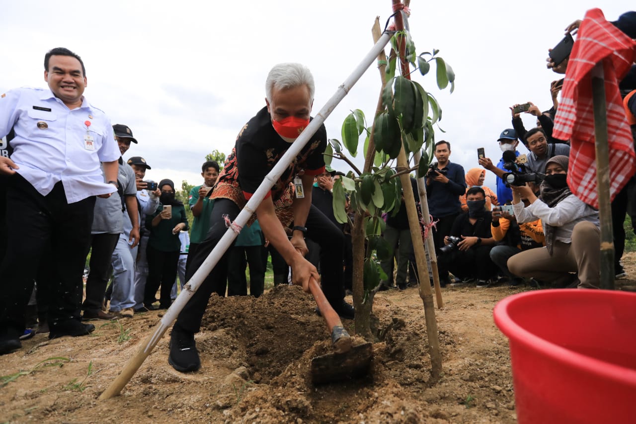 Gubernur Jateng Ganjar Pranowo melakukan penanaman pohon di lahan kritis Bukit Serut, Blora