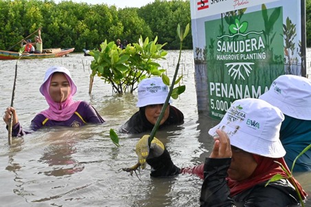 SIP Gandeng BWA Tanam 5000 Bibit Mangrove di Pesisir Muara Gembong Bekasi