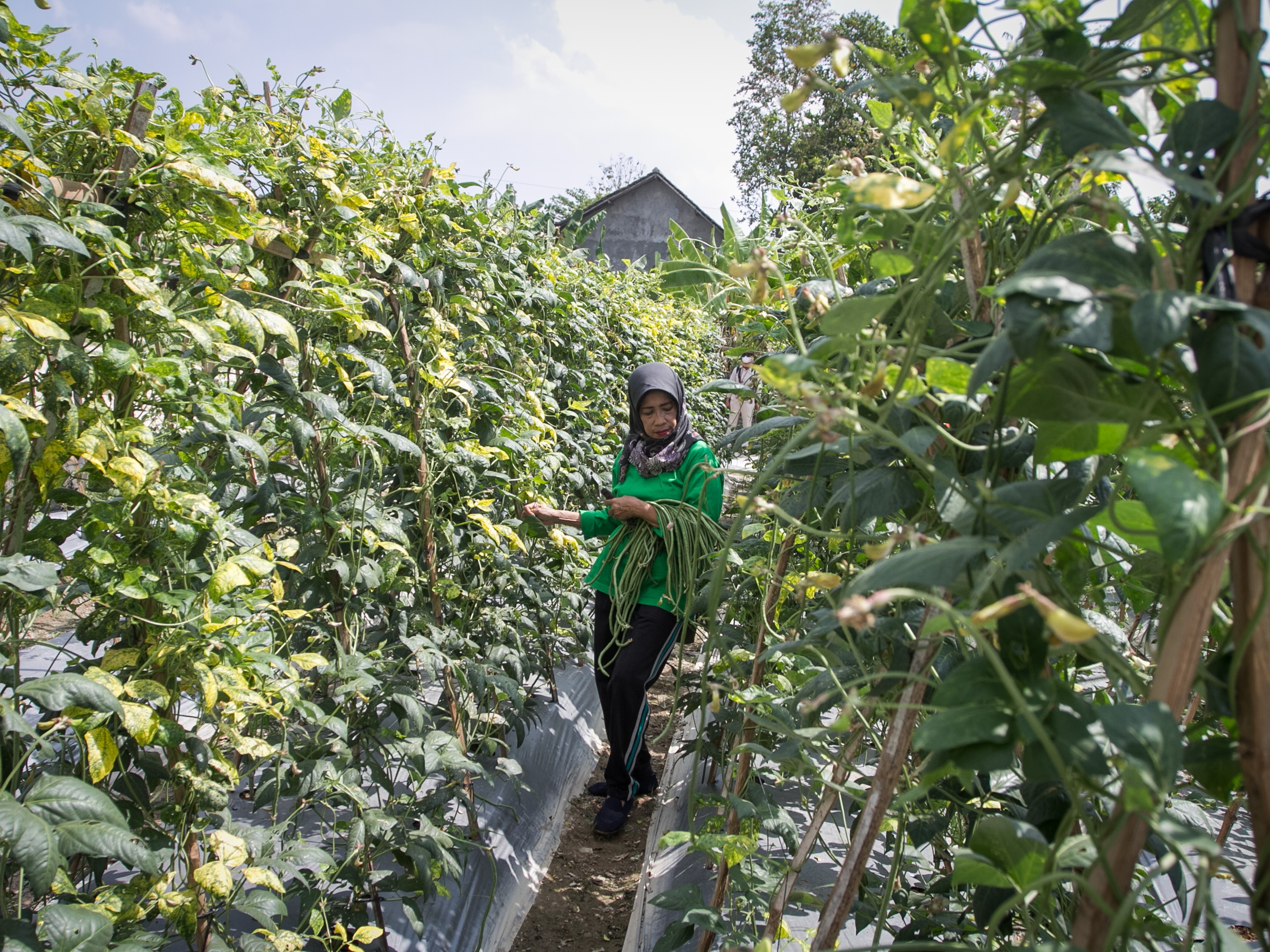 Hadapi Krisis Global, Berdayakan Desa lewat Pemanfaatan Potensi Lokal
