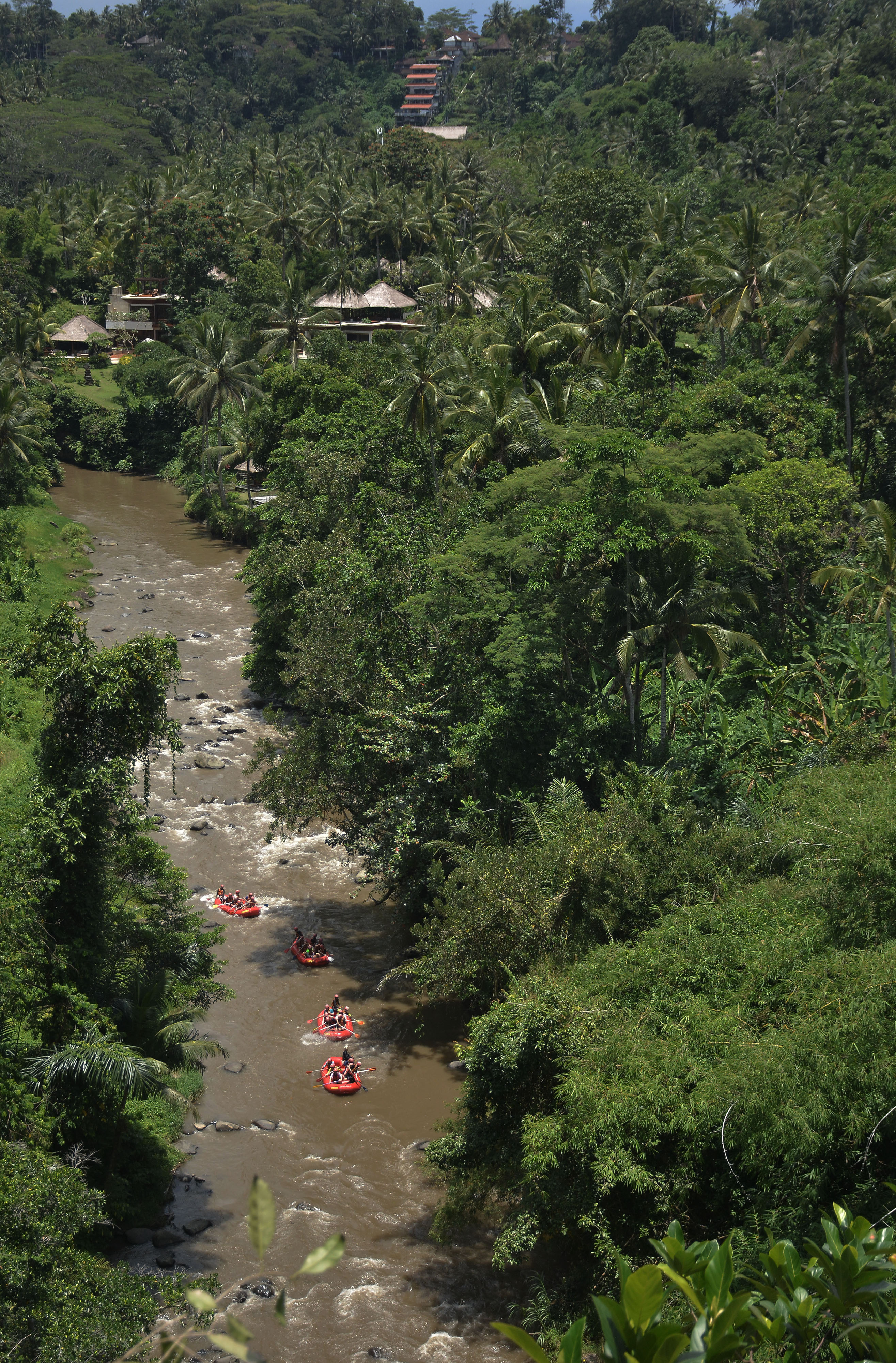Sungai Ayung, Gianyar, Bali, digemari para wisatawan mancanegara untuk wisata rafting. 