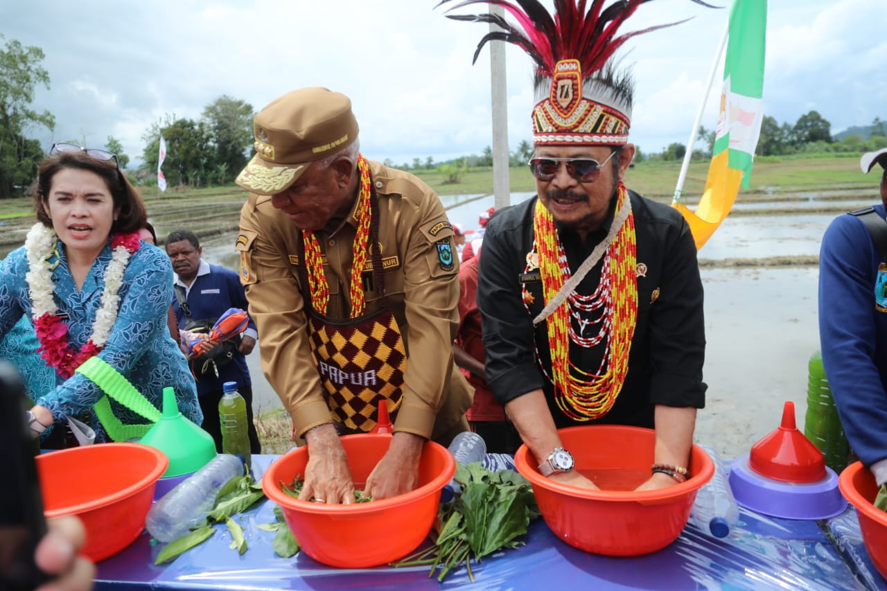 Mentan SYL menggelar  Musim Tanam (MT II) Provinsi Papua Tahun 2022-2023