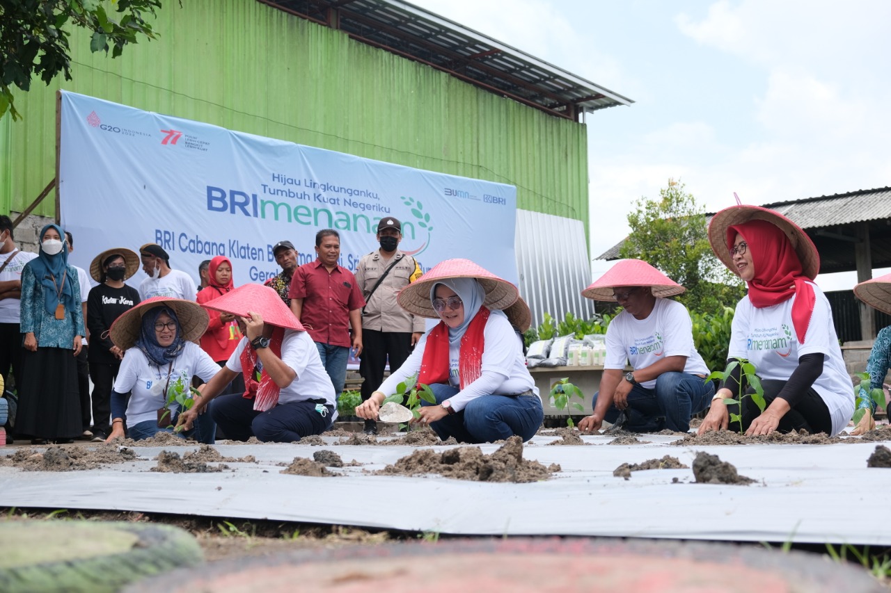 Bupati Klaten Sri Mulyani memulai gerakan menanam cabai