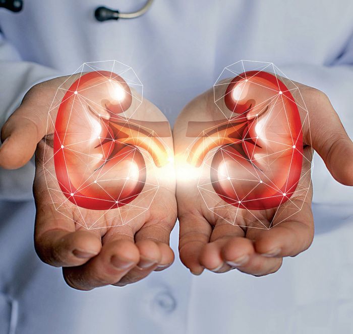 Konsumsi Protein Berlebihan Dapat Sebabkan Masalah Ginjal