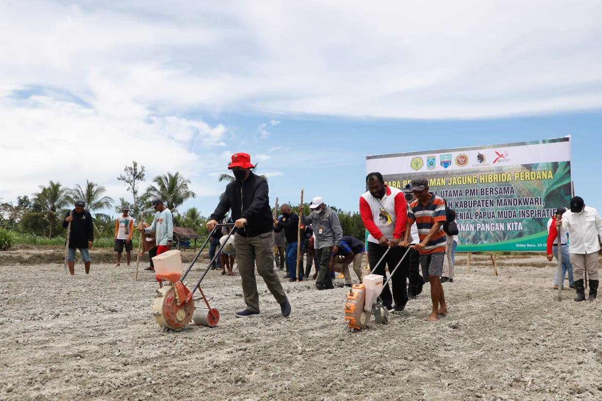 BIN dan anak muda yang tergabung dalam Papua Muda Inspiratif (PMI) menggelar acara penanaman perdana tanaman jagung hibrida secara modern d