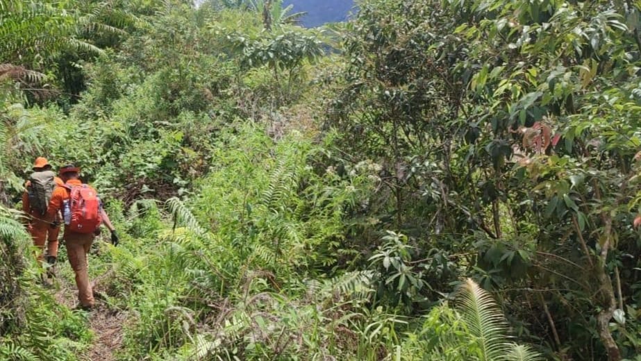 Tim SAR Gabungan menghentikan operasi setelah pada hari kelima pencarian belum menemukan Asten Situmorang di hutan Sitaotao, Humbahas, Sumut